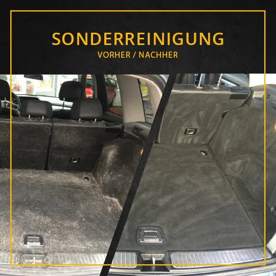 Vorher-Nachher: Sonderreinigung Tierhaare